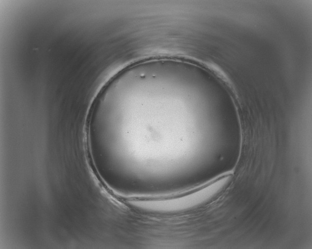 X0000054371287200508121530