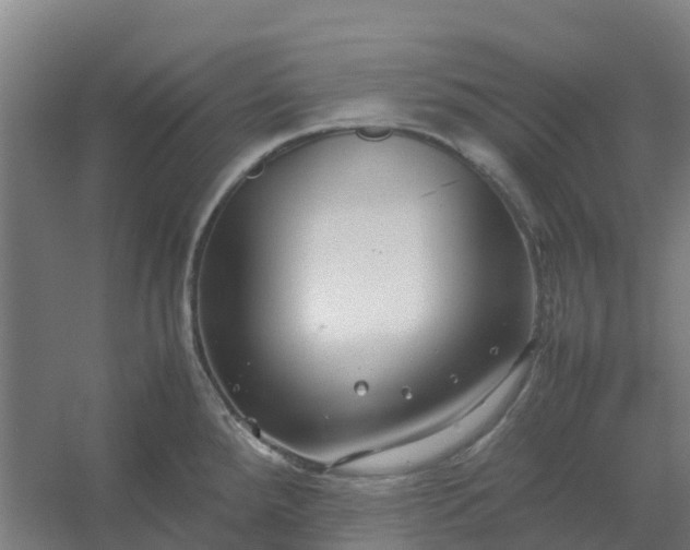 X0000054371288200508121530