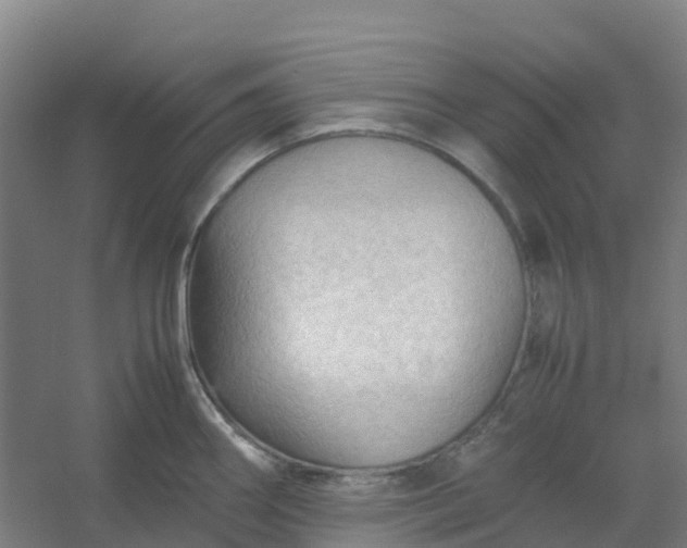 X0000054371290200508121530