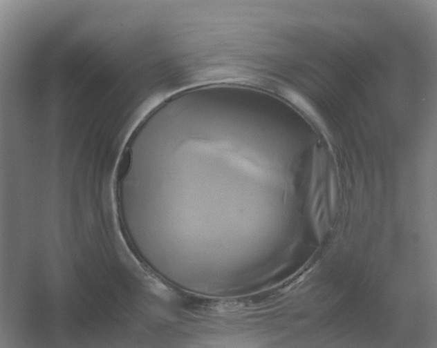 X0000054371291200508121530