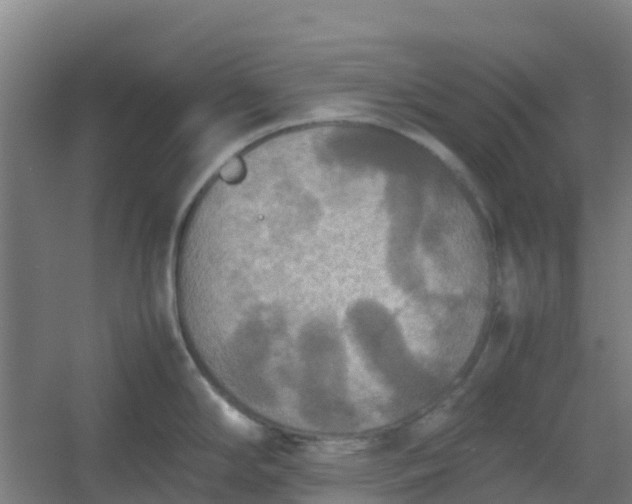 X0000054371294200508121530