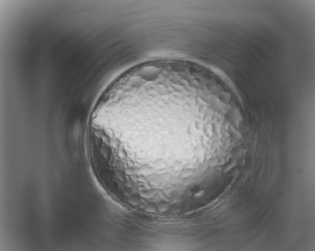 X0000054371295200508121530