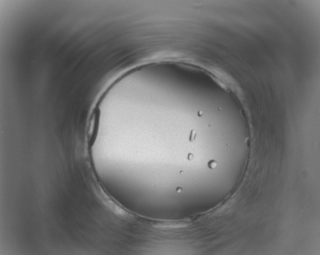 X0000054371296200508121530