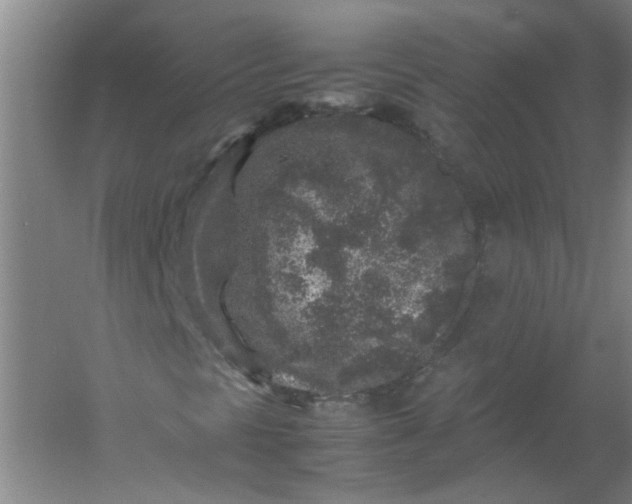 X0000054371297200508121529