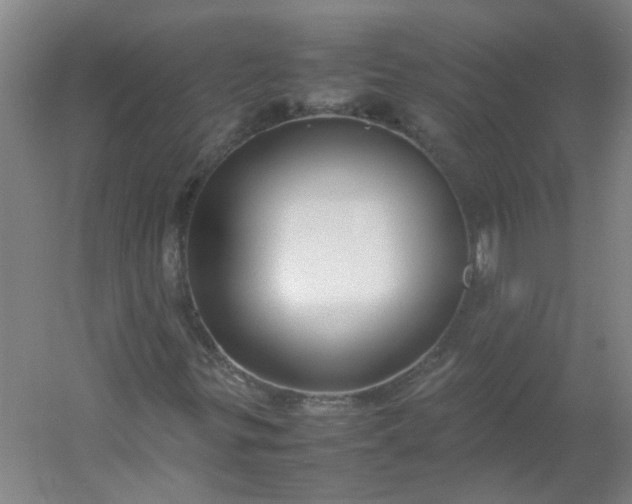 X0000054371299200508121529