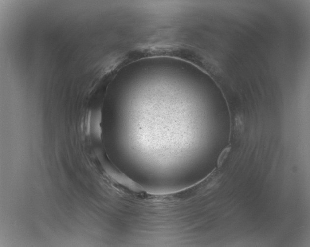 X0000054371300200508121529