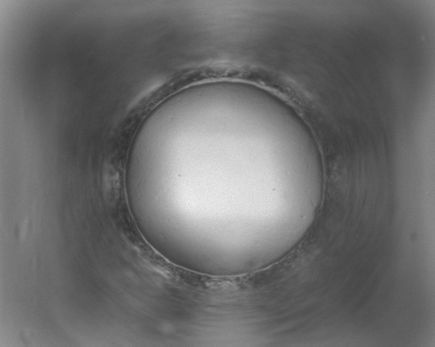 X0000054371302200508121529