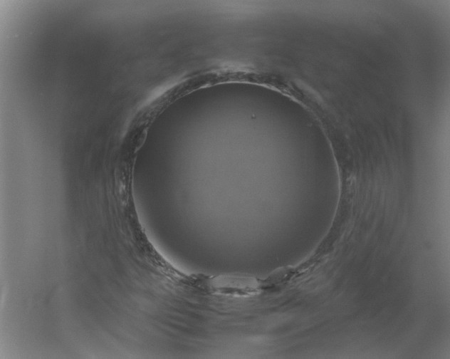 X0000054371303200508121529