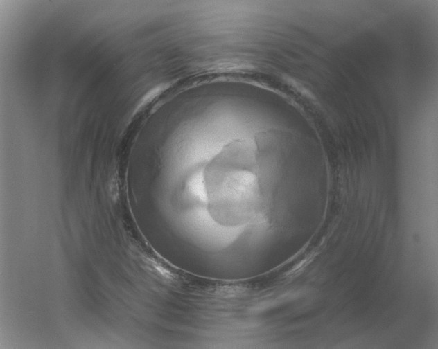 X0000054371306200508121530