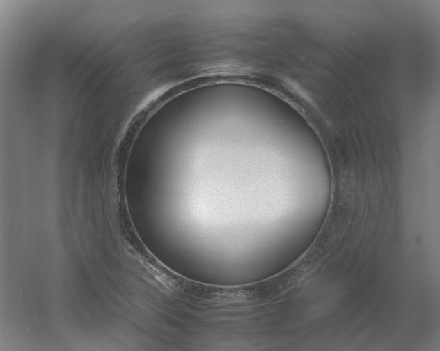 X0000054371315200508121530