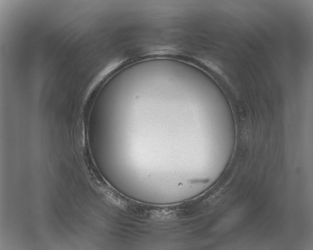 X0000054371317200508121530