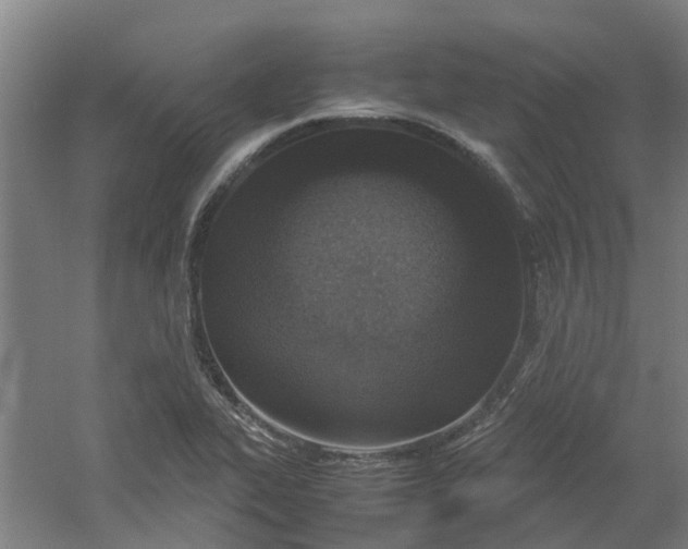 X0000054371319200508121530