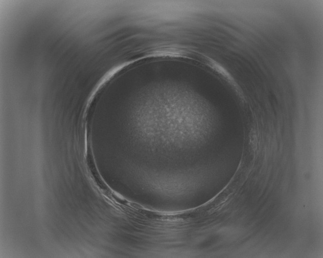 X0000054371323200508121530