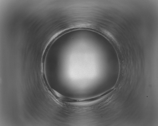 X0000054371324200508121530