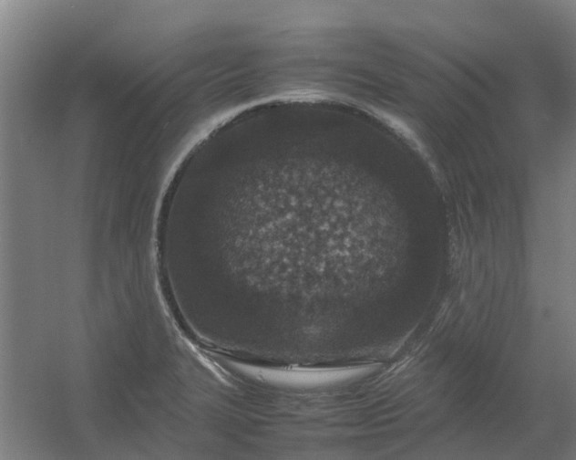 X0000054371327200508121530