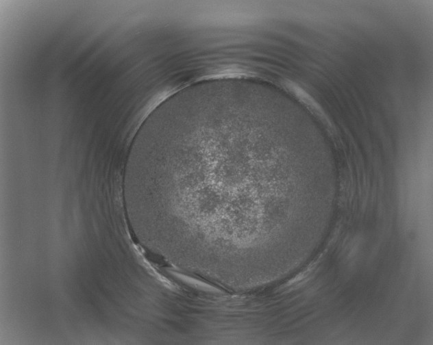 X0000054371329200508121530