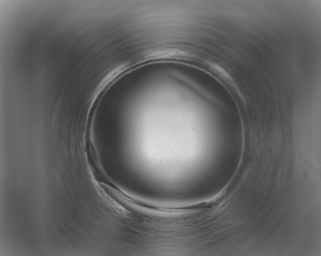 X0000054371330200508121530