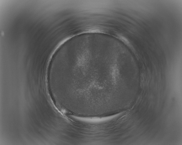 X0000054371331200508121530