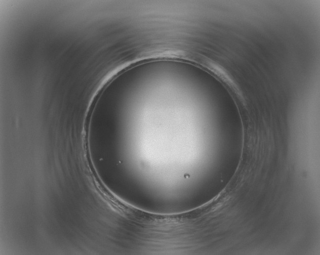 X0000054371332200508121530