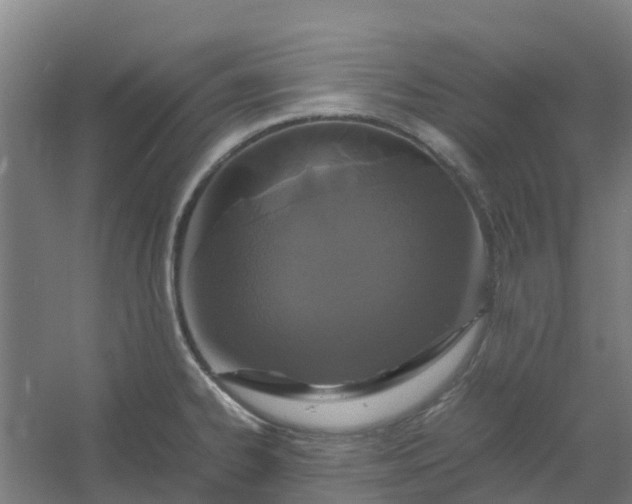 X0000054371334200508121530