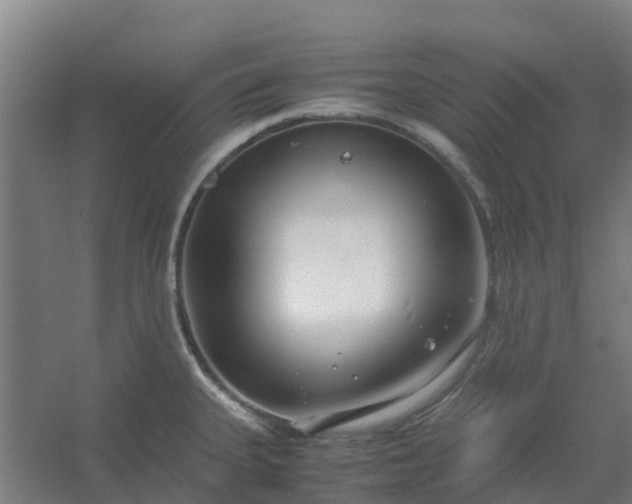 X0000054371335200508121530