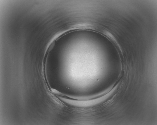 X0000054371336200508121530