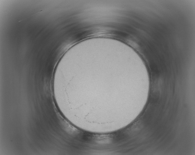 X0000054371338200508121530