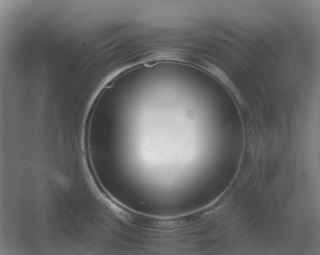 X0000054371339200508121530