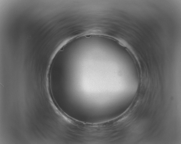 X0000054371341200508121530