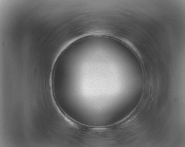 X0000054371343200508121530