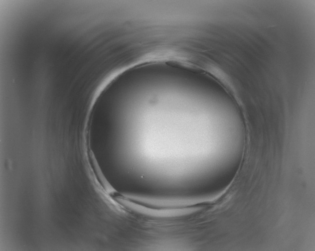 X0000054371344200508121530