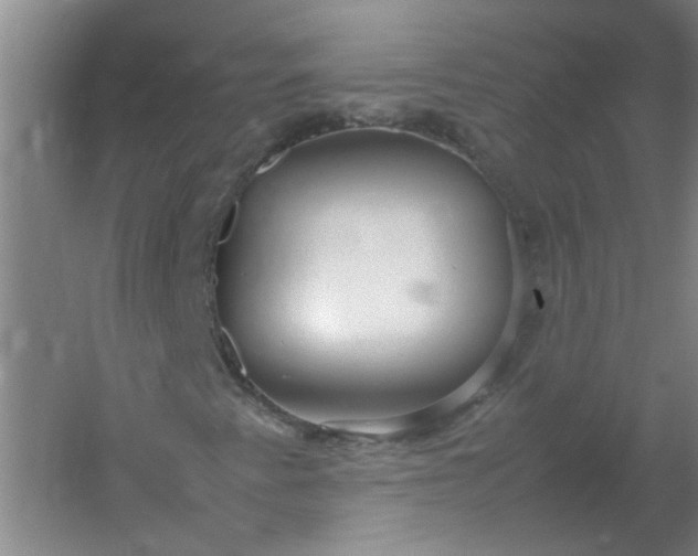 X0000054371345200508121529