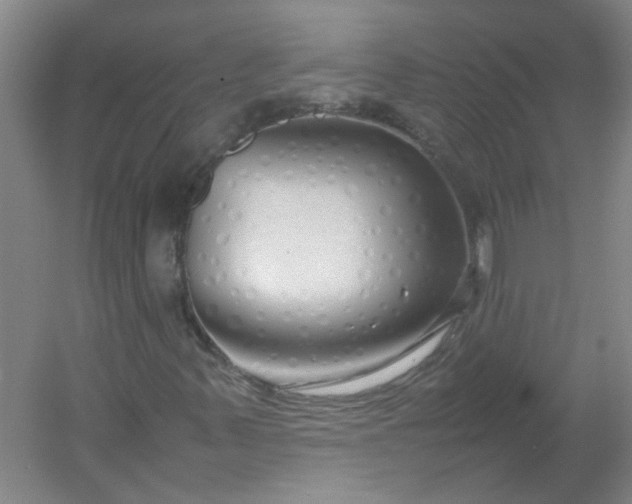 X0000054371347200508121529