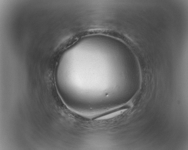 X0000054371351200508121529