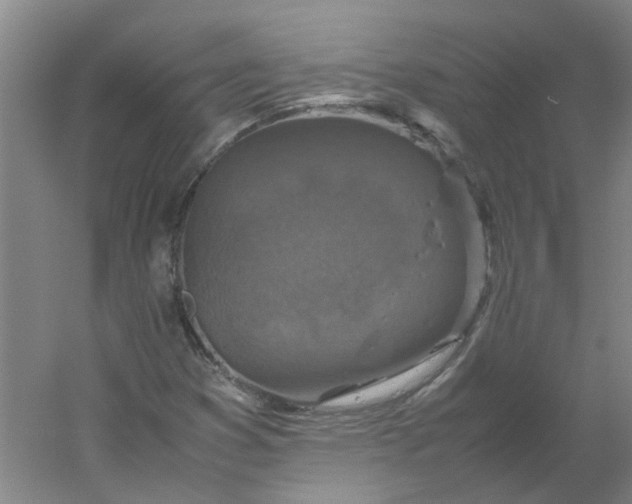 X0000054371353200508121529