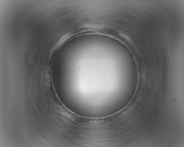 X0000054371354200508121529