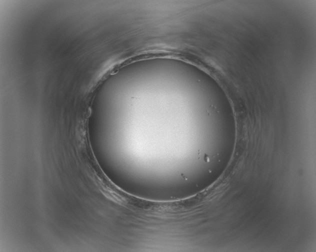 X0000054371355200508121529