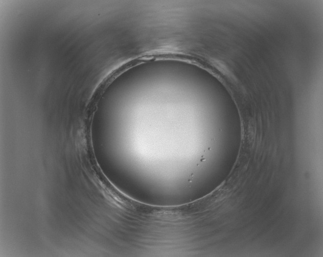 X0000054371356200508121529