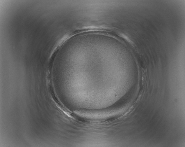 X0000054371357200508121529