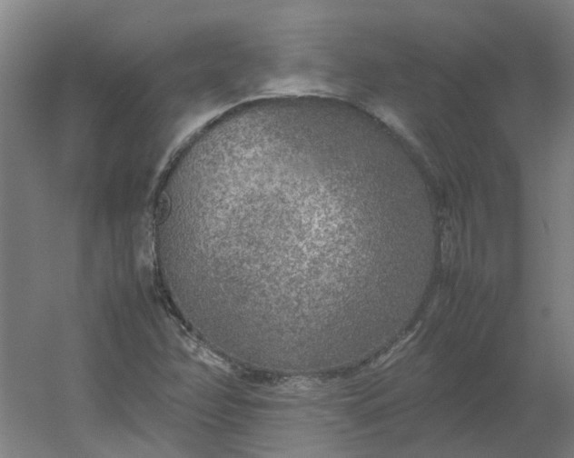 X0000054371358200508121529