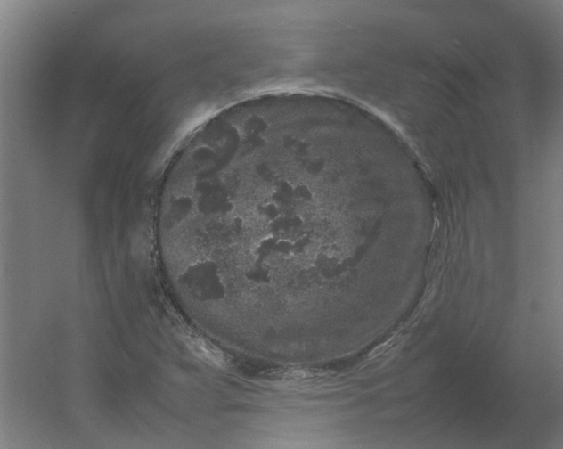 X0000054371359200508121529