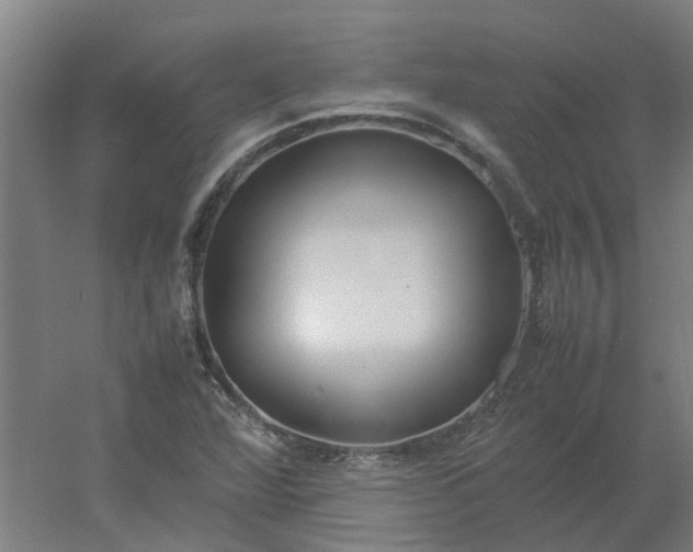 X0000054371360200508121529