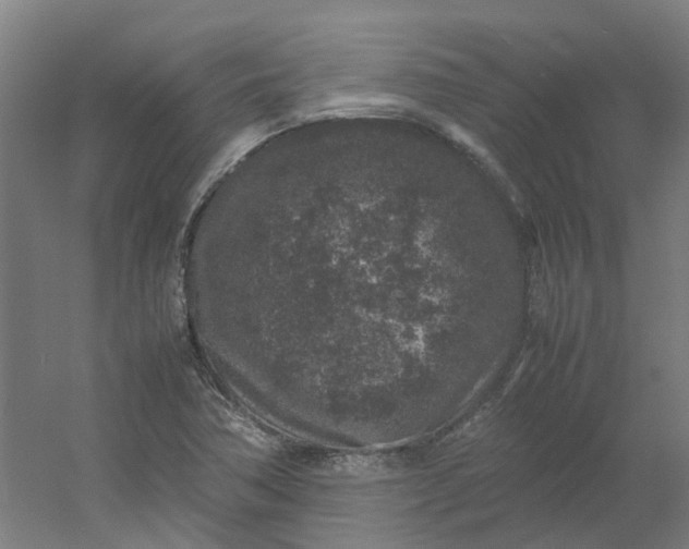 X0000054371362200508121529