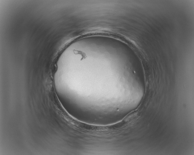 X0000054371363200508121529