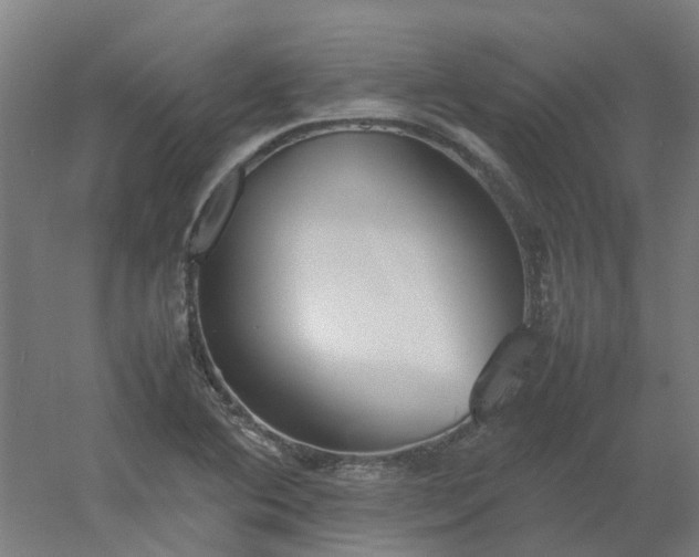 X0000054371364200508121529