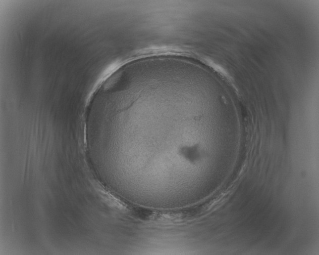 X0000054371365200508121529