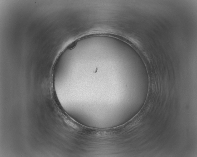 X0000054371366200508121529