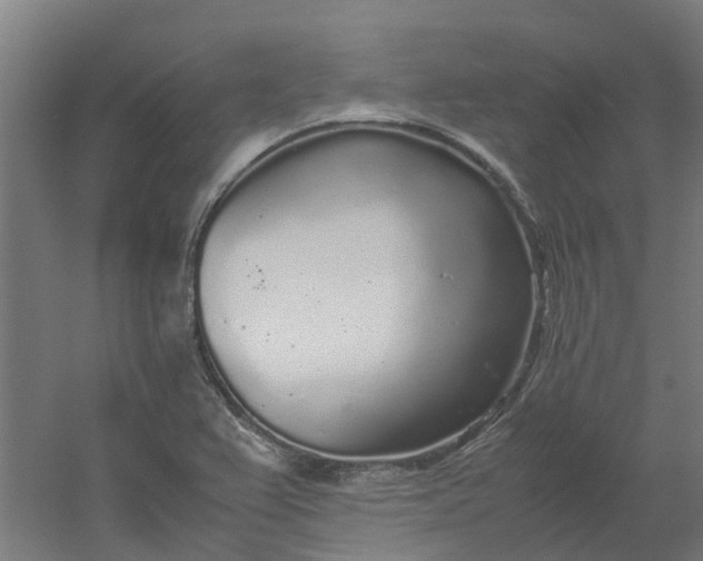 X0000054371367200508121529