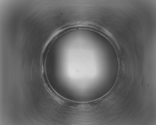 X0000054371368200508121529