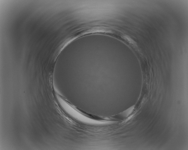 X0000054371369200508121529